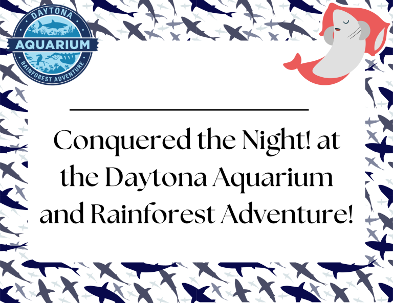 Shark Overnight Certificate