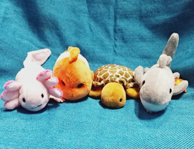 Stuffed Animal Sleepover Souvenirs