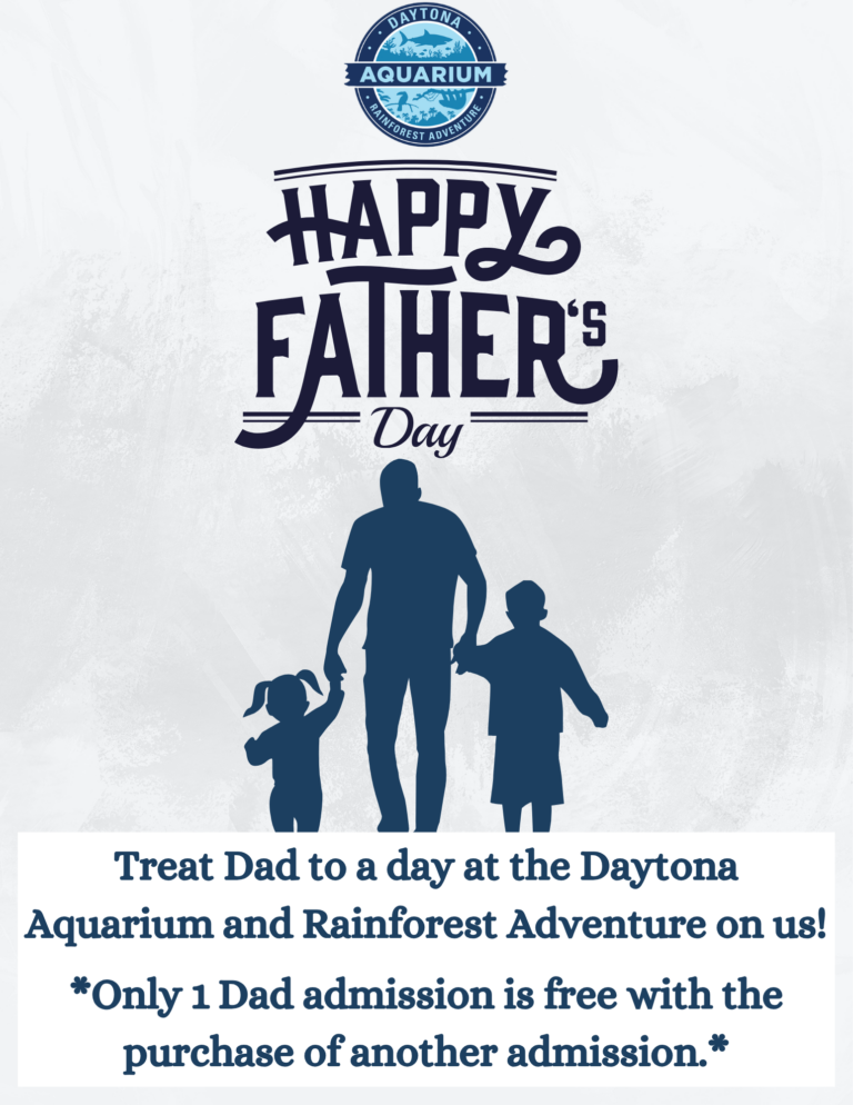 Father's Day