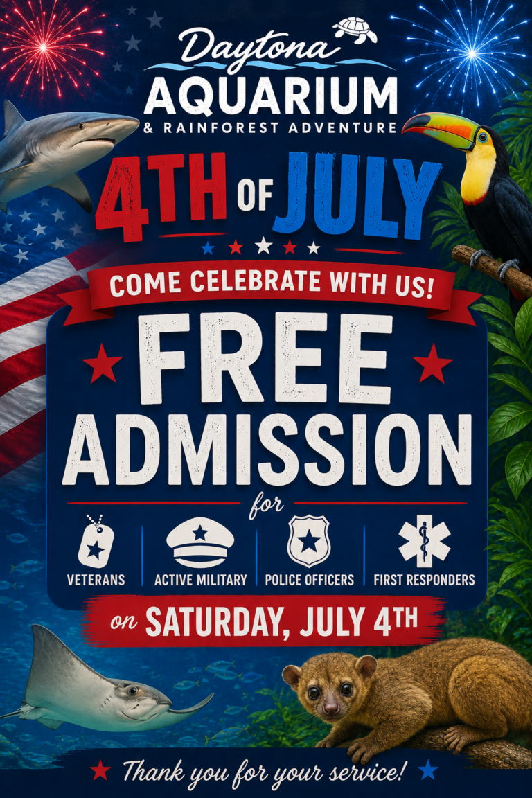 4th of July flyer