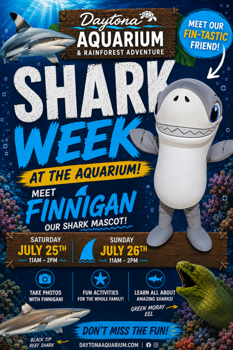Shark weekend flyer