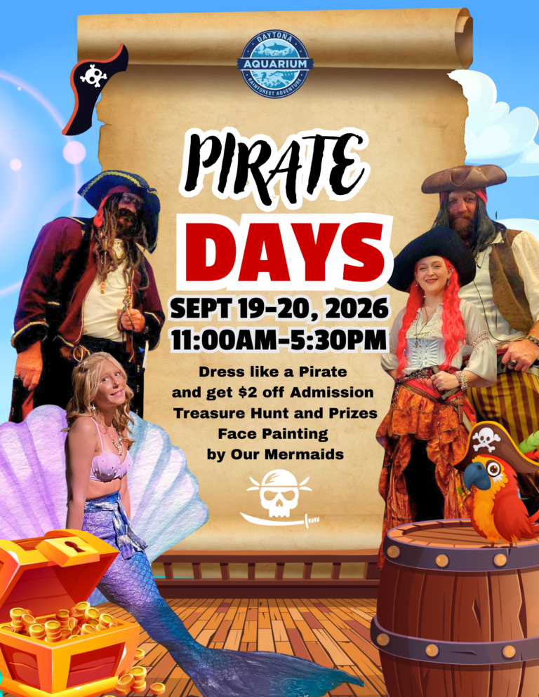 Pirate (16 x 9 in) (Real Estate Flyer) (2)