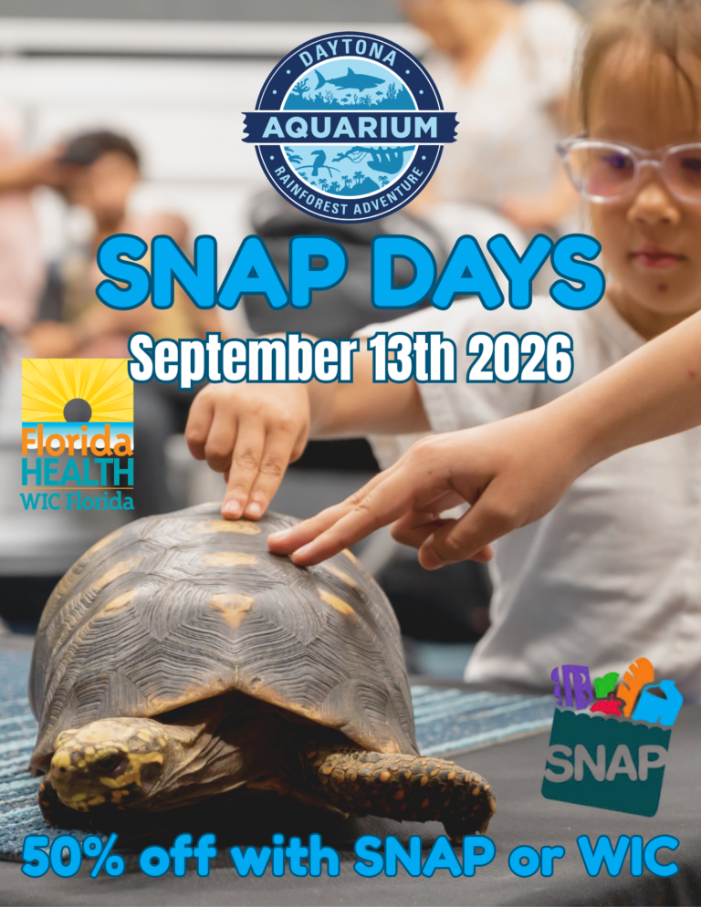 September 6, 2026