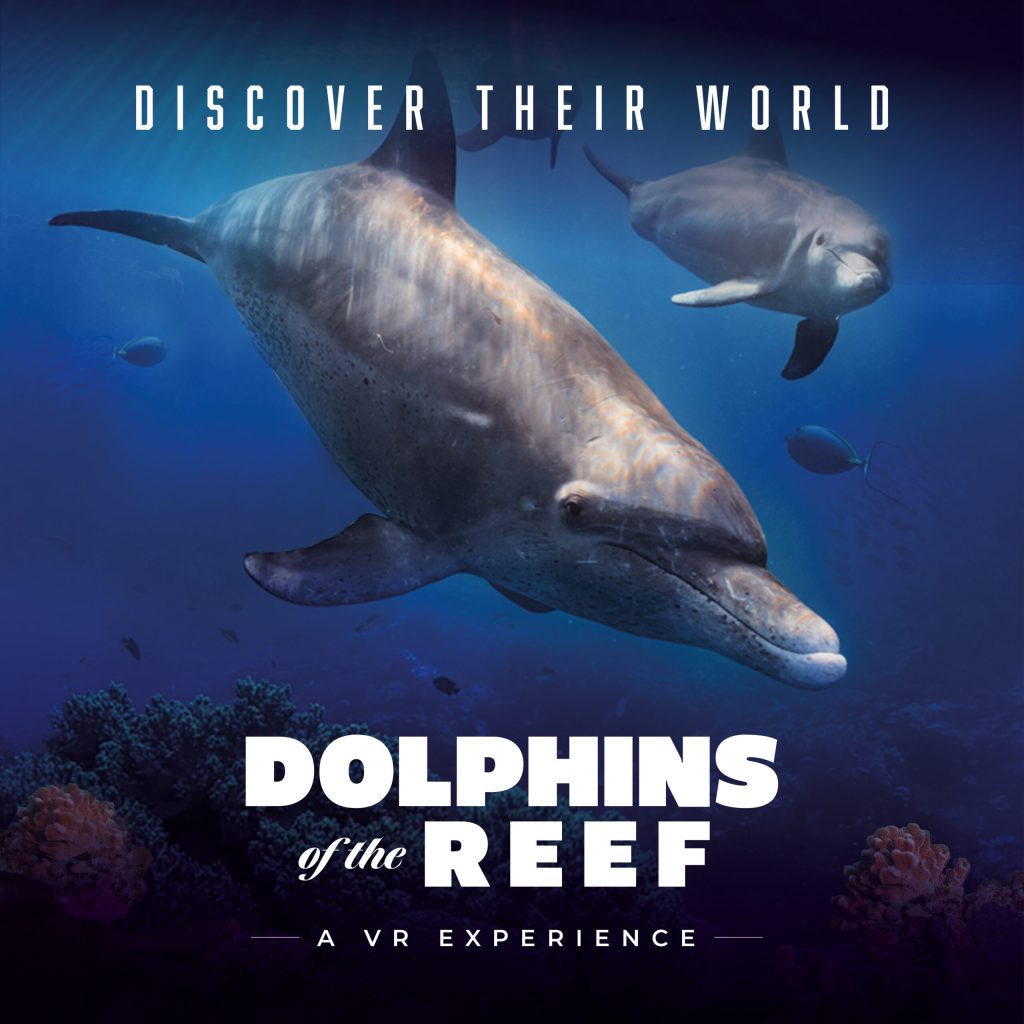DOLPHINS OF THE REEF - ENGLISH - SOCIAL - 1000 x 1000 - GENERIC - 3