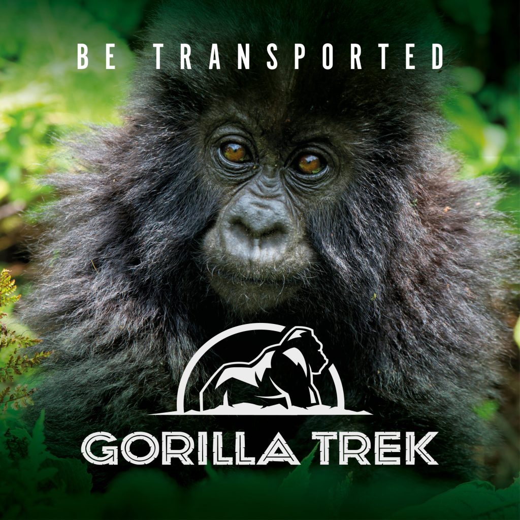 GORILLA TREK - ENGLISH - SOCIAL - GENERIC - 6