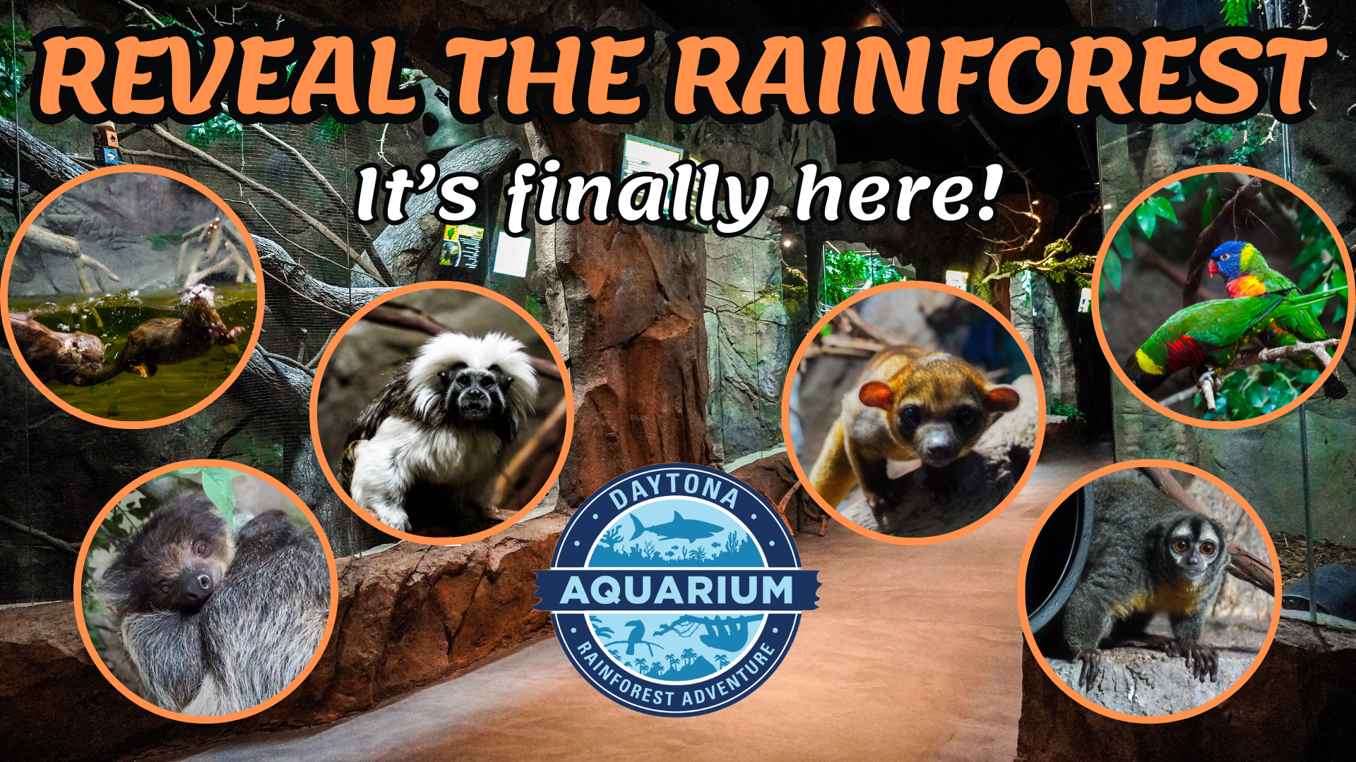 Rainforest Event FB Cover
